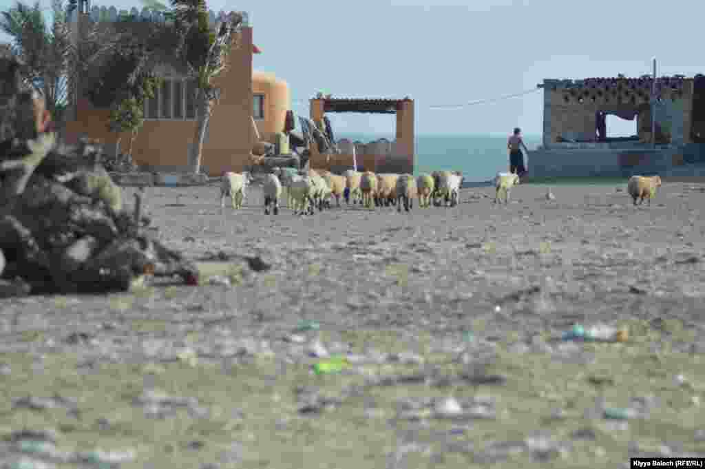 A roadside restaurant on Makran is open 24/7.