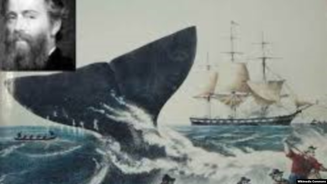"Moby Dick" kitabına illüstrasiya