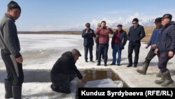 Балыкты кое берүү учуру. 