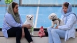 Iranians sit with their dogs in a park in Tehran on June 8, 2025. 