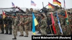 Немецкие военные в составе участников многонациональных учений НАТО в Грузии «Достойный партнер 2018»