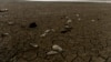 Kosovo -- Mussels lie in the dry bed of Badovc artificial lake, January 22, 2014