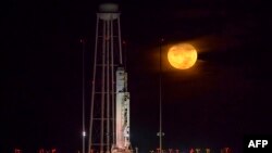 تصویری منتشر شده از فضاپیمای سیگنوس (عکس از آرشیو)