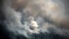 Более 500 тысяч гектаров леса сгорело в Сибири и на Дальнем Востоке
