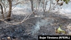 Požari su aktivni u regionu Suve Reke, Prizrena, Nacionalnom parku Prokletije i Janjevu, opština Lipljan.