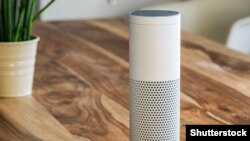 Amazonova Alexa, ilustracija 
