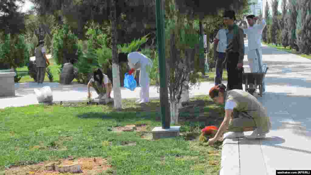 Aşgabat, gök otly meýdançalar haşal otlardan arassalanýar.