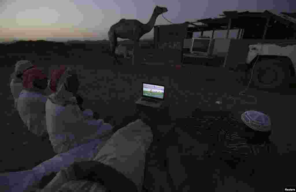 Men watch a World Cup soccer match between the Netherlands and Australia on a laptop, at a camel market in Daba near Tabuk &nbsp;in Saudi Arabia on June 18. (Reuters/Mohamed Alhwaity)