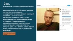 Сторонники Навального жалуются на бездействие СК