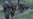 16x9 Image