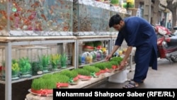 آمادگی‌ها برای تجلیل از جشن نوروز در افغانستان