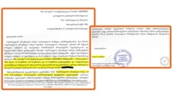 სების პრეზიდენტის, ნათელა თურნავას თანხმობა ნანა ყეინიშვილის შვილს, ნათია ლოლაძეს
