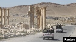 امنيتي ځواکونه په پلمېرا کې - انځور له ارشیفه 