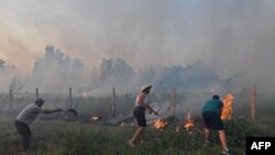 Banorët përpiqen të shuajnë një zjarr në qytetin bregdetar veriperëndimor të Algjerisë, Tabarka, më 24 korrik 2023.