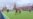 Refugees Play Football On Red Square
