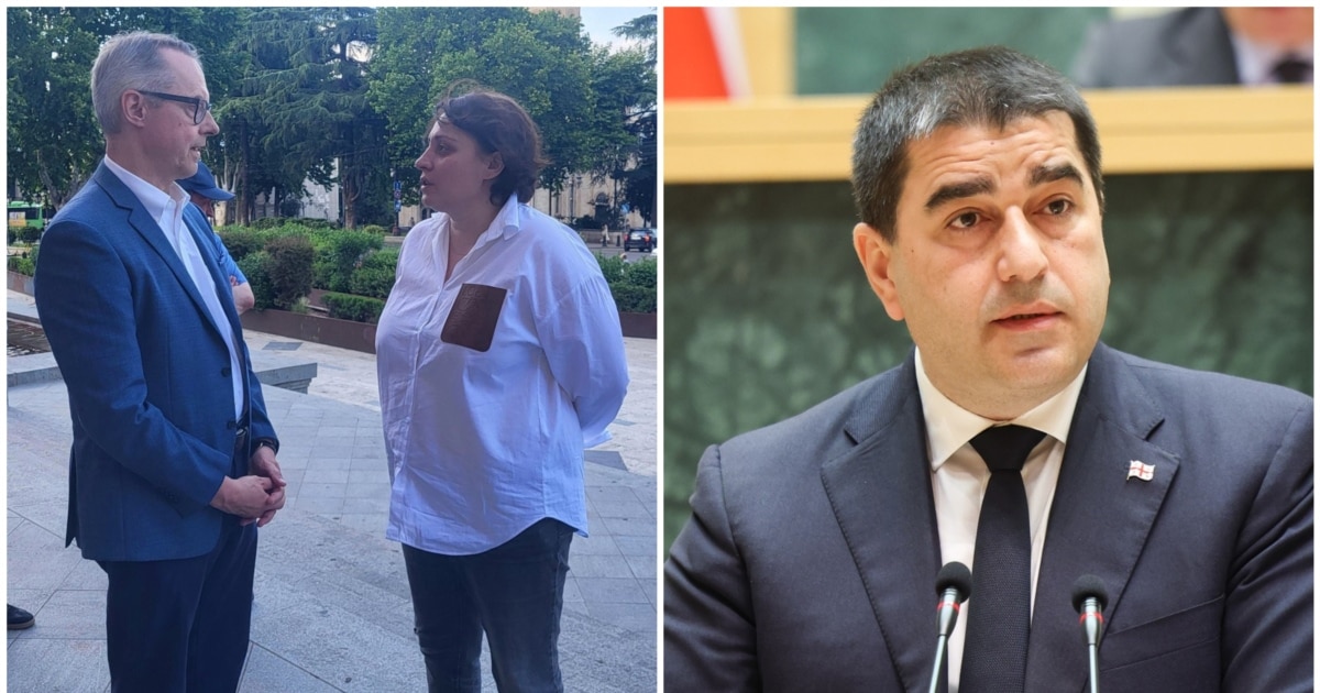 „დიპლომატიური კატასტროფაა“ - შალვა პაპუაშვილი გერმანიის ელჩს მოშიმშილეების მონახულებისთვის აკრიტიკებს
