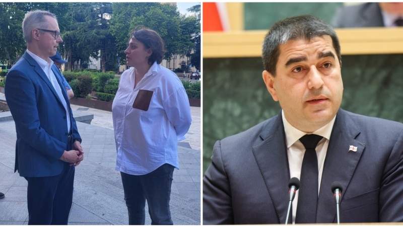 „დიპლომატიური კატასტროფაა“ - შალვა პაპუაშვილი გერმანიის ელჩს მოშიმშილეების მონახულებისთვის აკრიტიკებს