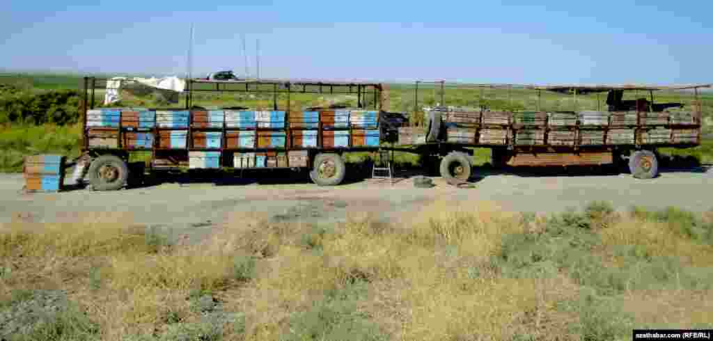 Balçylar özlerinde köne ulagyň bardygyny, ony hem bal önümlerini transport etmek üçin ulanýandyklaryny belleýärler.