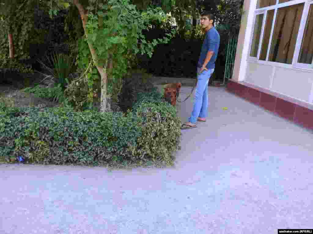 Itini gezelenje çykaran bir oglan