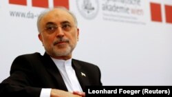 Head of the Iranian Atomic Energy Agency Ali Akbar Salehi. File photo.