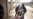 Libya Rebels 'Capture' Misurata Airport