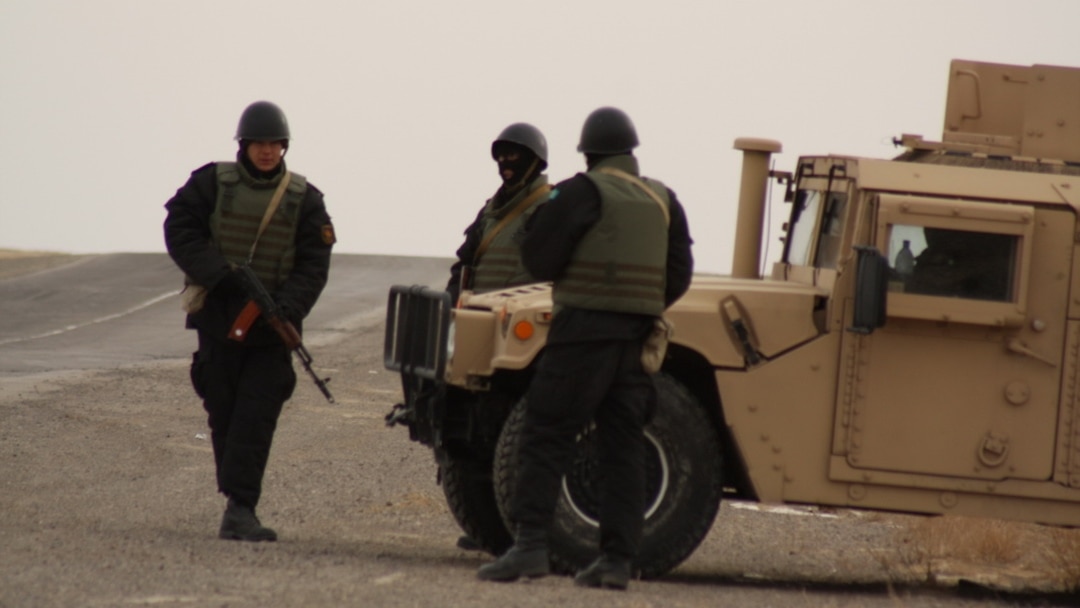 Қазақтың жұлдыздары бейнеленген порнофильмдер