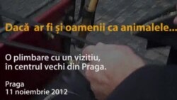 Dacă ar fi oamenii ca animalele...