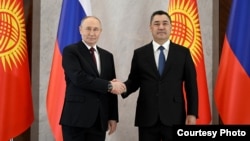 Путин жана Жапаров. 2025-жыл, ноябрь. Бишкектеги жолугушууда тартылган сүрөт