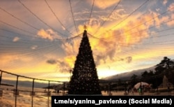 Новогодняя ель в Ялте за 3,9 миллиона рублей, ноябрь 2025 года