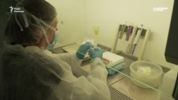 Как работают украинские лаборатории, где обрабатывают тесты на коронавирус (видео)