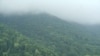 Armenia -- Teghut forest in Lori province.