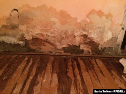 Вуди тоқылдақ порно мультфильм