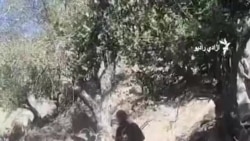د نورستان وروستي تحولات؛ طالبانو د پاکستان حکومت نورستان ته د وسله والو په استولو تورن کړی 