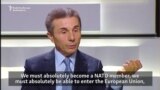 Georgia's Ivanishvili Says 'Patience' Needed For EU/NATO Hopes