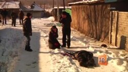 Жизнь и смерть. Будни Донецка