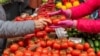 Deși au fost mărite cotele, exportatorii moldoveni nu reușesc să valorifice unele dintre acestea, cum ar fi cele pentru roșii sau usturoi.