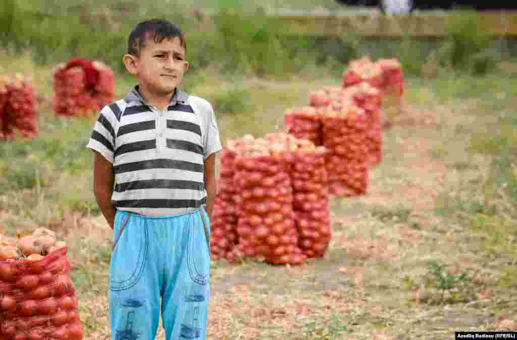 Güllə səsindən daha çox uşaqlar qorxduğu üçün, çox vaxt onları açıq sahəyə aparmırlar. 