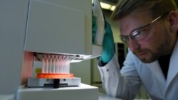 Поиск вакцины от COVID-19 ведут несколько университетов мира