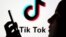 TikTok je već bio na uzlaznoj putanji prije krize uzrokovane korona virusom, ali njegova je popularnost naglo skočila tokom pandemije. 