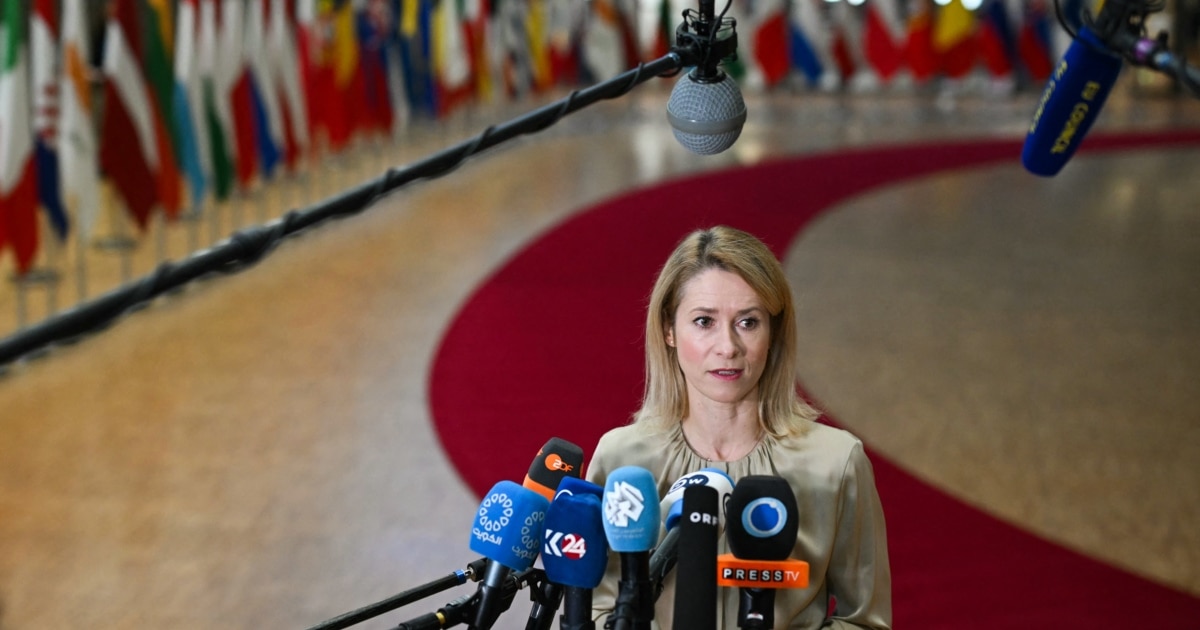 Европейският съюз (ЕС) настоя Украйна и европейските ѝ съюзници да