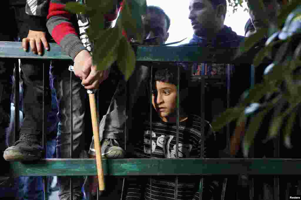 A Palestinian boy watches as men carry the body of Saeed Jaser Ali, 85, during his funeral near Nablus.&nbsp;According to witnesses, Ali died on January 2 after inhaling tear gas fired by Israeli troops to disperse protesters in the occupied West Bank. (Reuters/Mohamad Torokman)&nbsp;