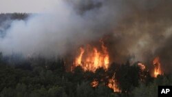 Šumski požar u blizini Jerusalema, 30. aprila 2025.