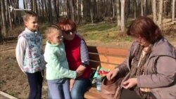 В России разрешили бесплатно собирать валежник
