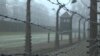 75 години по ослободувањето на Аушвиц се уште се идентификуваат жртвите