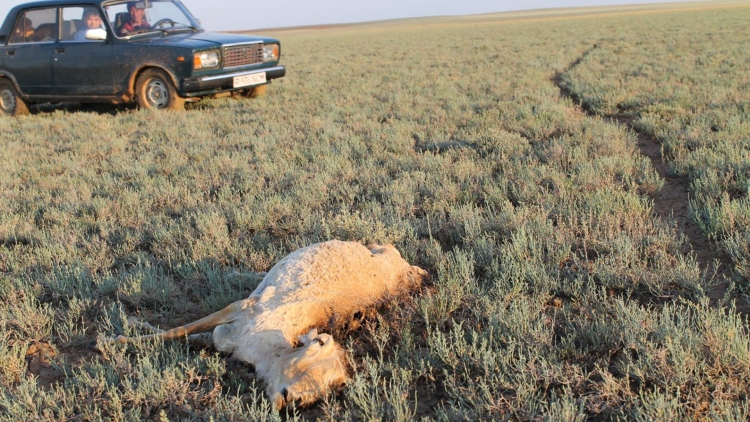 Орыс порно орындаушылары