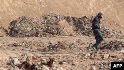 A member of the Iraqi forces inspects a mass grave discovered in the Hamam al-Alil area on November 7.