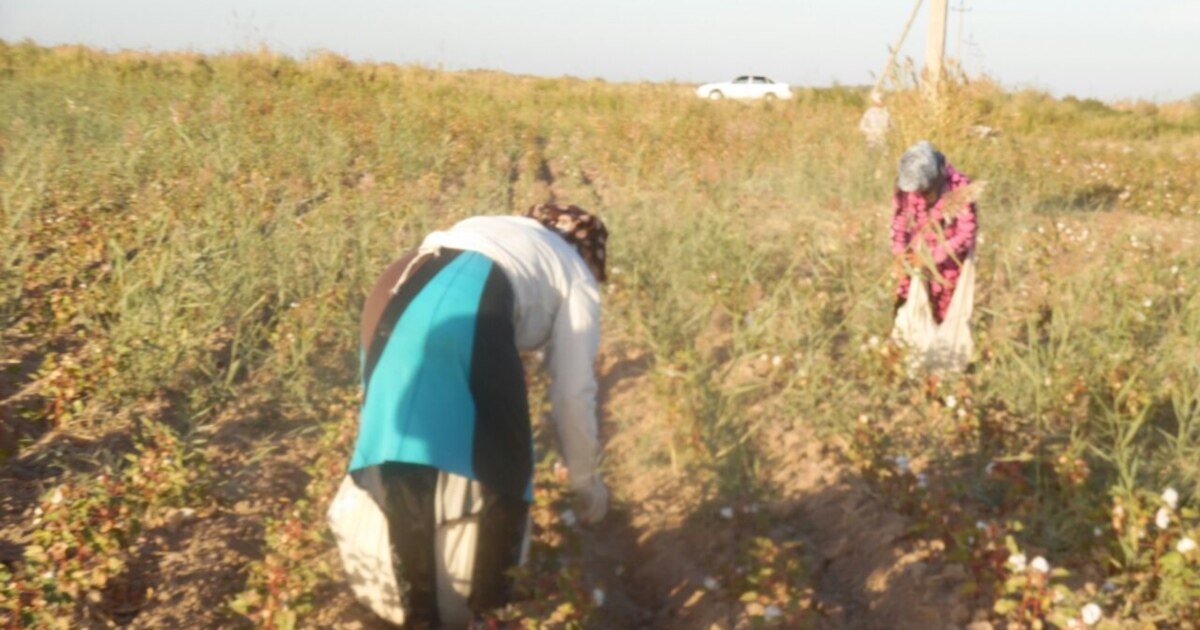 Секс үшін порно покер Автокөліктегі жалаңаш кискалардың суреттері