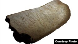 Шість рунічних літер, вирізьблених на уламці кістки, виявили на розкопках у давньослов’янському поселенні в місцевості Лани біля міста Бржецлава в Чехії
