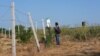 Moldova, Miclesti Criuleni, village, reforestation, greening