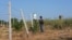 Moldova, Miclesti Criuleni, village, reforestation, greening